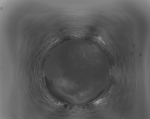 X0000062851009200601201658