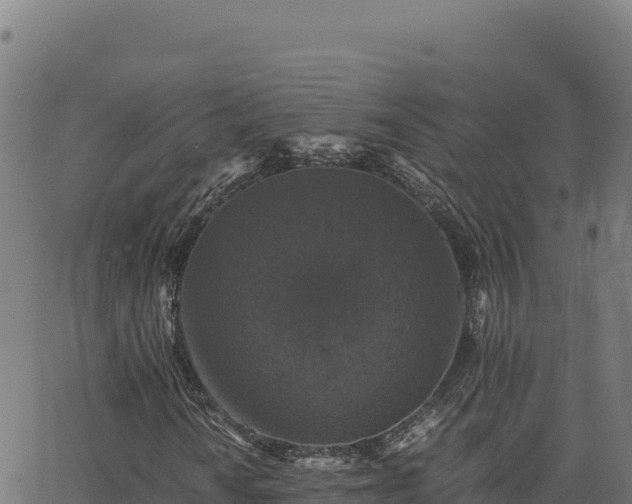 X0000062851010200601201658