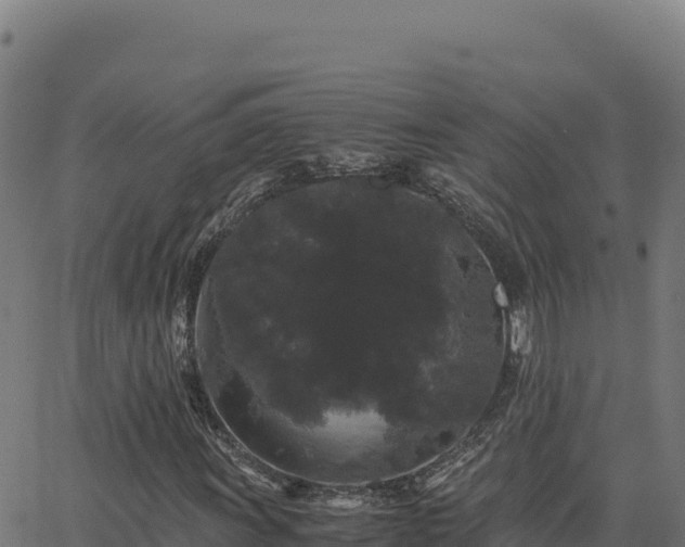 X0000062851011200601201658