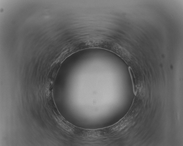 X0000062851012200601201658