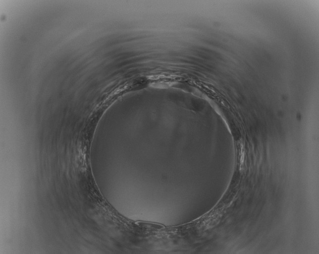 X0000062851013200601201658