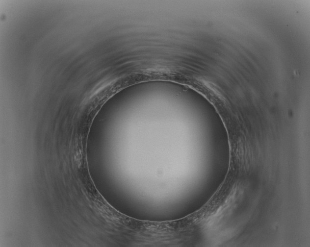 X0000062851015200601201658