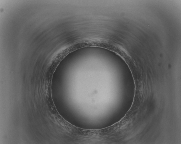 X0000062851016200601201658