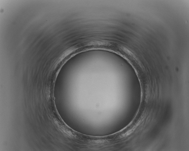 X0000062851017200601201658