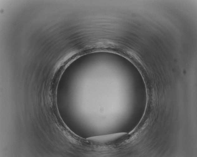 X0000062851018200601201658