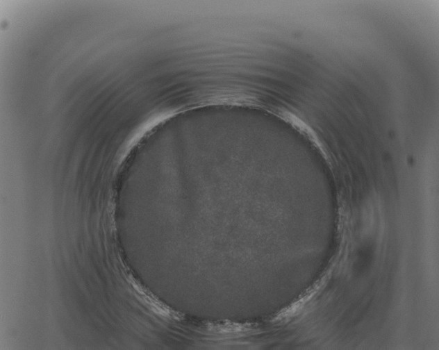 X0000062851019200601201658