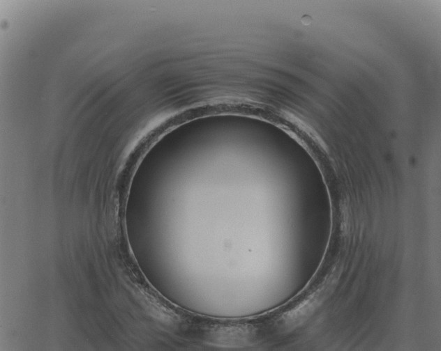 X0000062851021200601201658