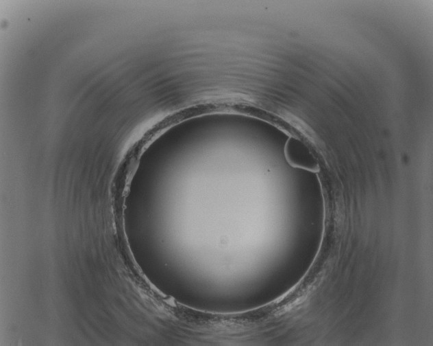 X0000062851022200601201658