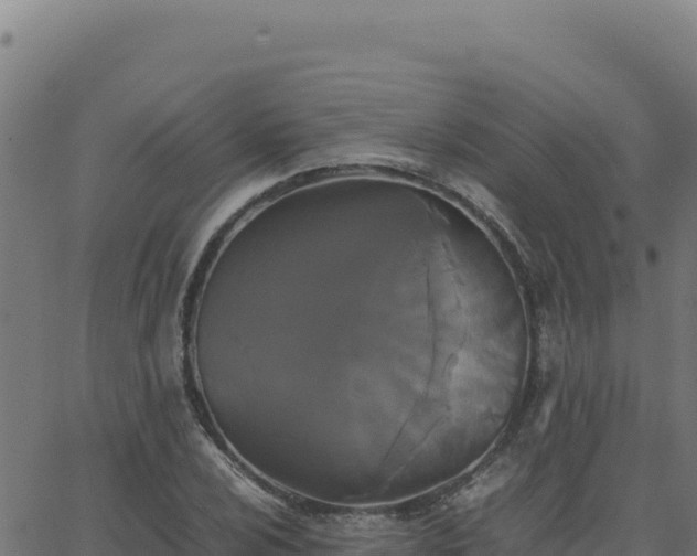 X0000062851024200601201658