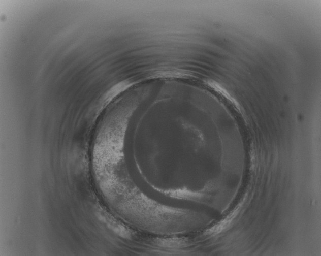 X0000062851025200601201658