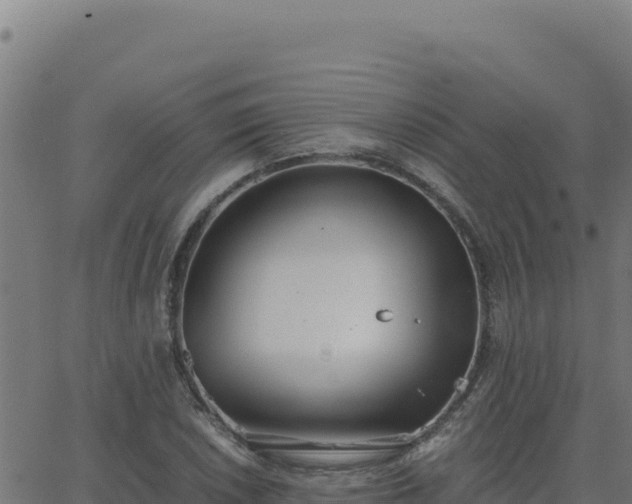 X0000062851026200601201658