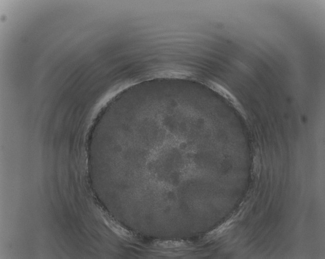 X0000062851027200601201658