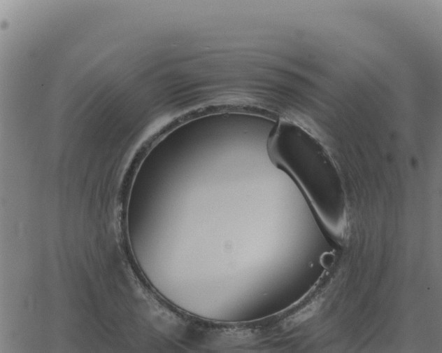 X0000062851029200601201658