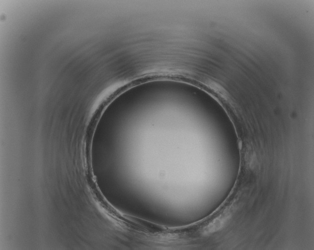 X0000062851030200601201658