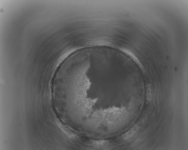 X0000062851031200601201658