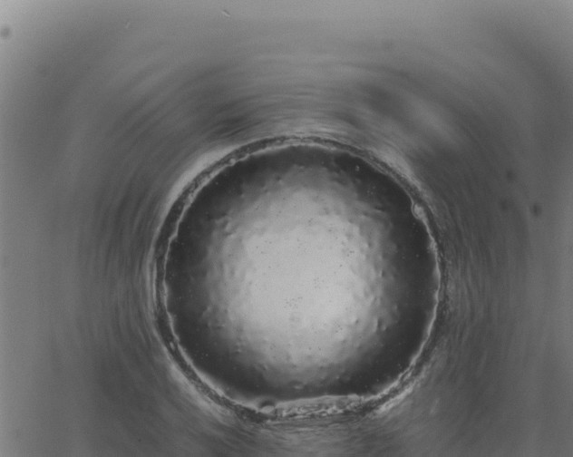 X0000062851032200601201658