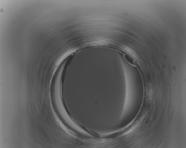 X0000062851034200601201658