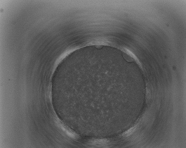 X0000062851035200601201658