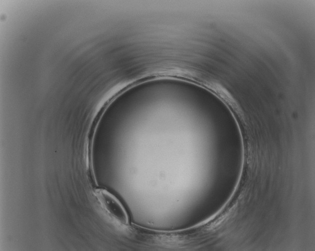 X0000062851036200601201658