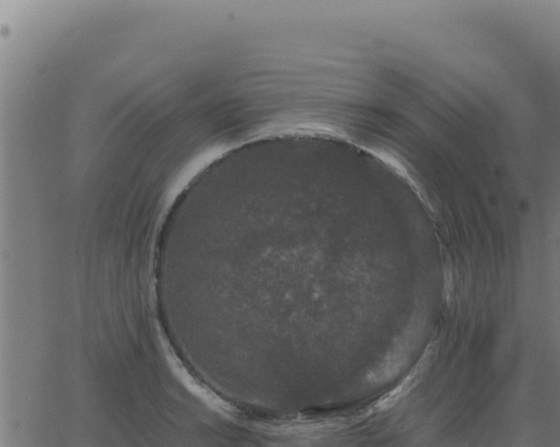 X0000062851038200601201658