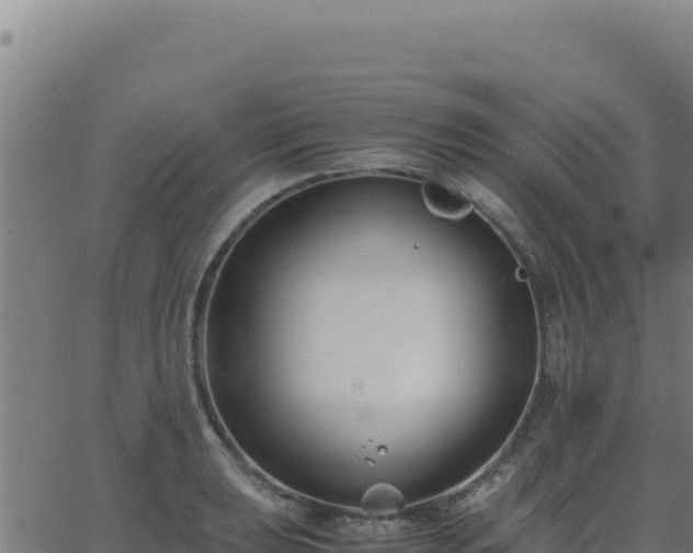 X0000062851039200601201658