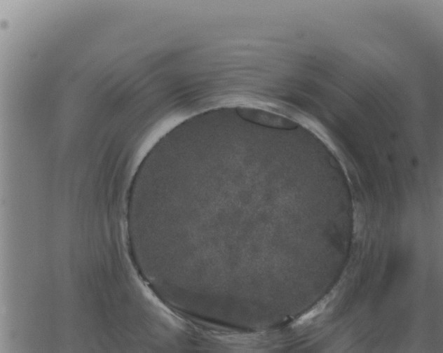 X0000062851048200601201658