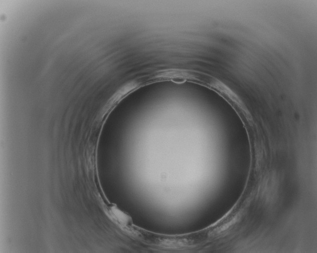 X0000062851049200601201658