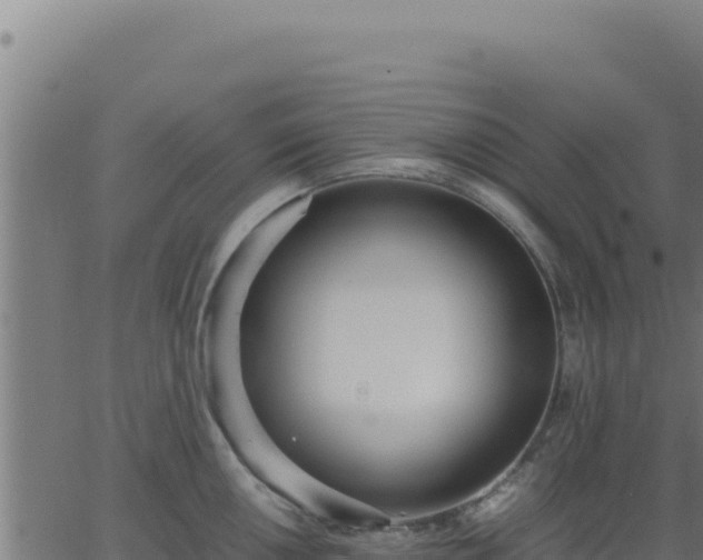 X0000062851050200601201658