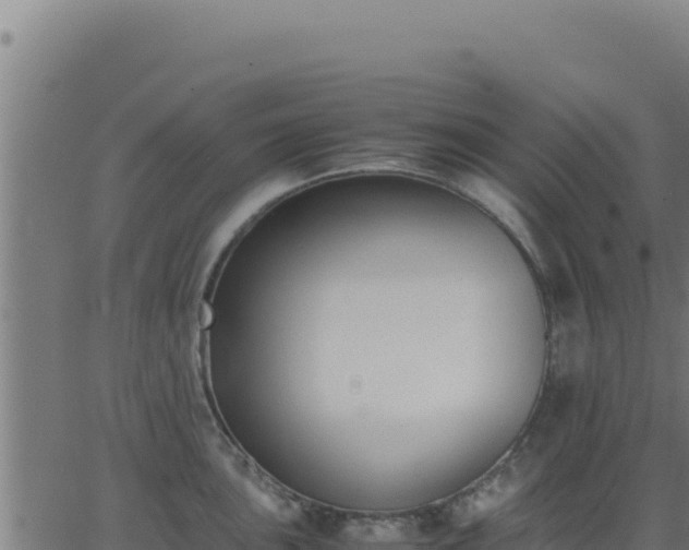 X0000062851051200601201658