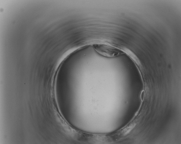 X0000062851052200601201658