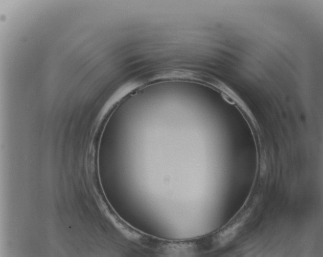 X0000062851053200601201658