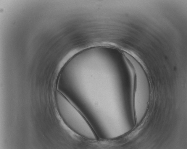 X0000062851054200601201658