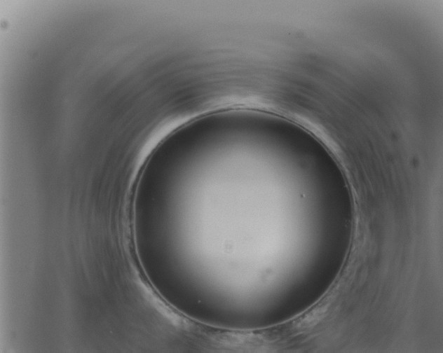 X0000062851056200601201658