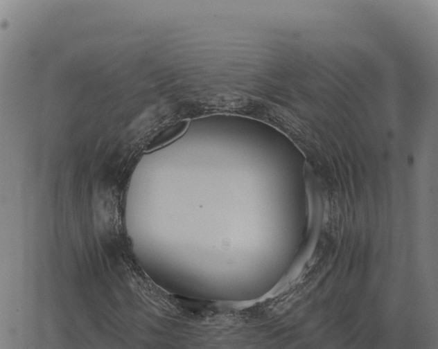 X0000062851058200601201657