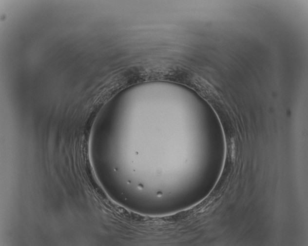 X0000062851059200601201657