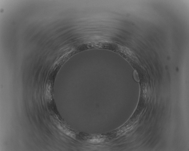 X0000062851060200601201657