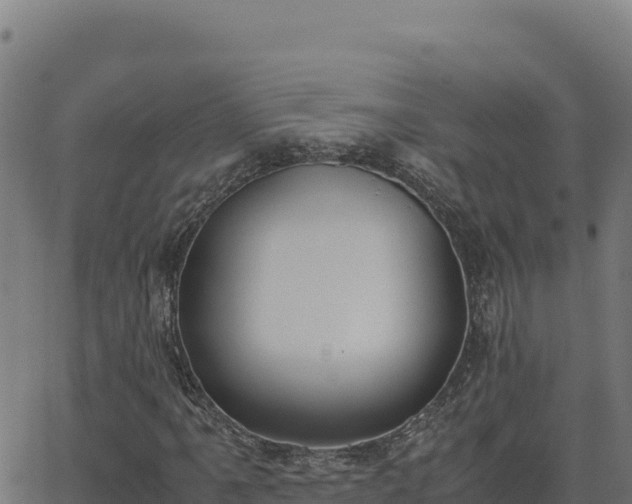 X0000062851061200601201657