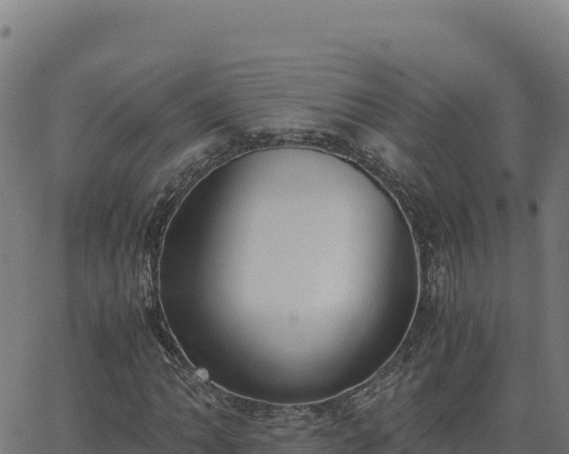 X0000062851062200601201657