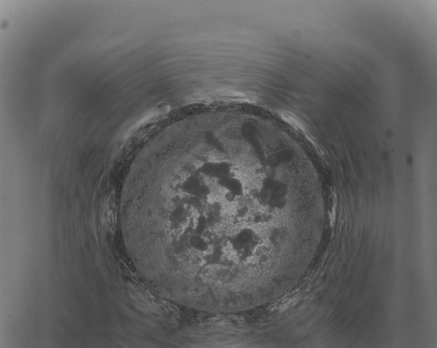 X0000062851063200601201657