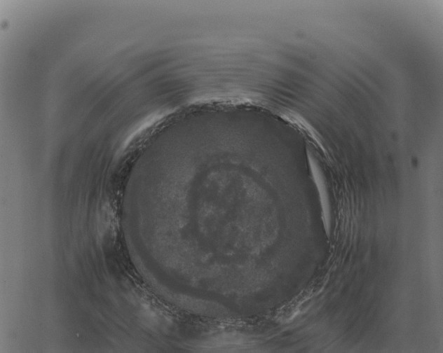 X0000062851064200601201657