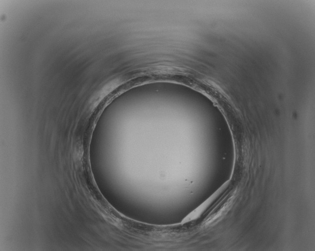 X0000062851065200601201657