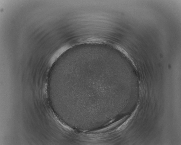 X0000062851066200601201657