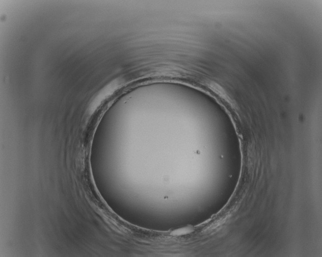 X0000062851067200601201657