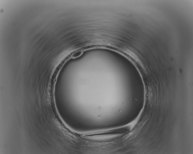 X0000062851068200601201657