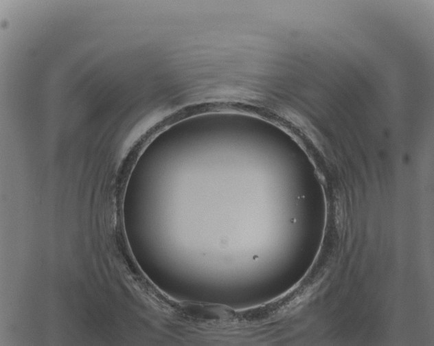 X0000062851069200601201657