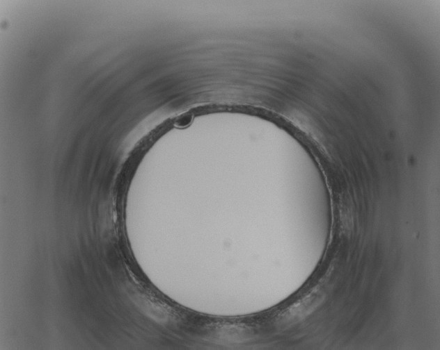 X0000062851070200601201657