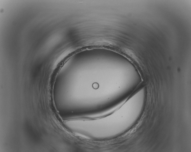 X0000062851071200601201657