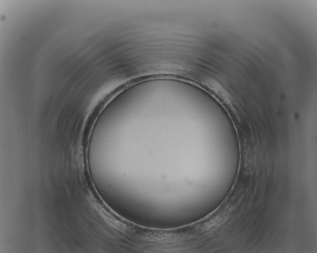 X0000062851072200601201657