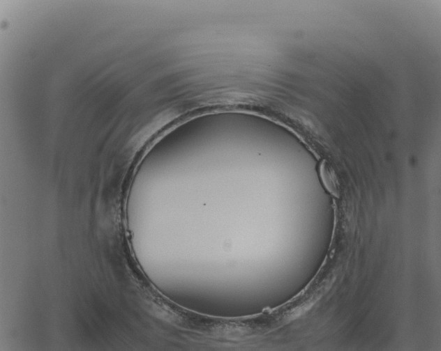 X0000062851073200601201657