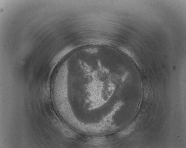 X0000062851074200601201657